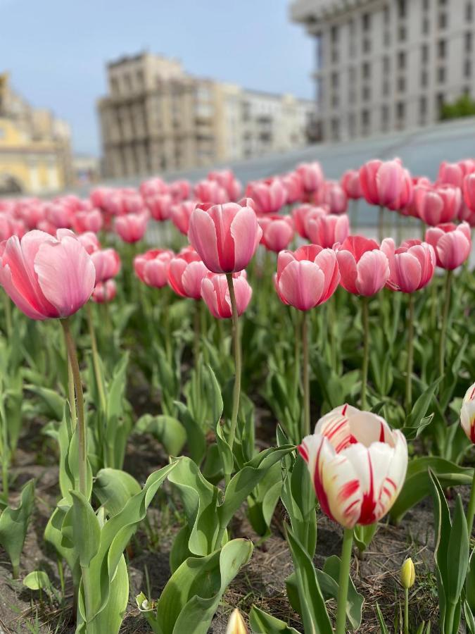 Однокімнатні Апартаменти На Майдані, Дистанційне Заселення 24Х7 Киев Екстериор снимка